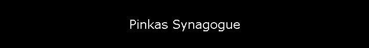 Pinkas Synagogue